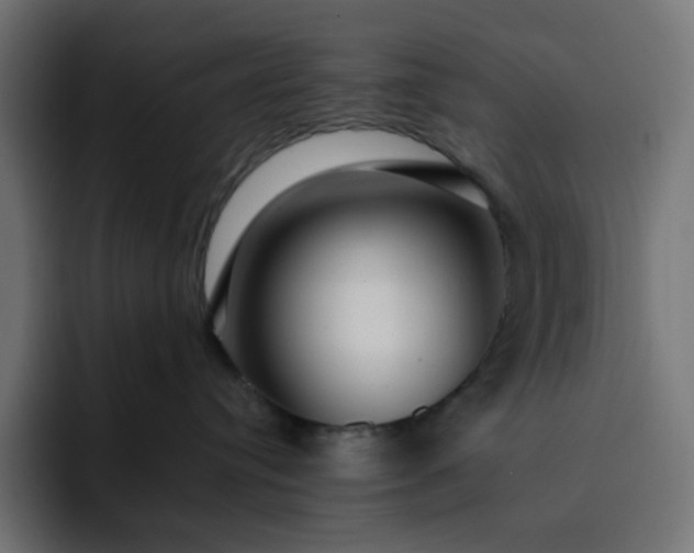 X0000093140384200710101122