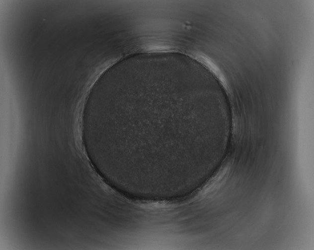 X0000093140385200710101121