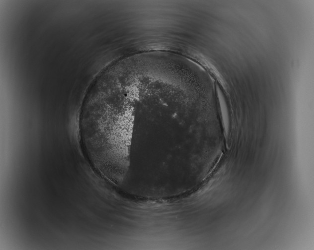 X0000093140386200710101121