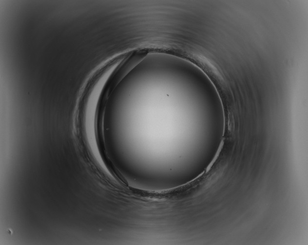 X0000093140388200710101121