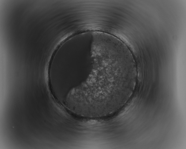 X0000093140390200710101121