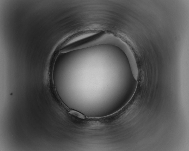 X0000093140392200710101121