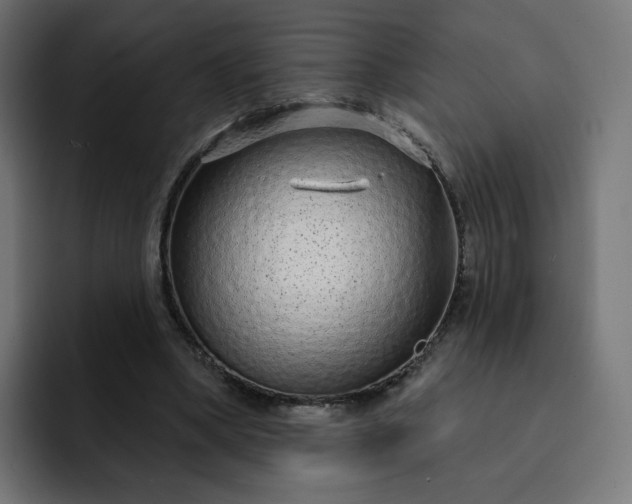 X0000093140394200710101121