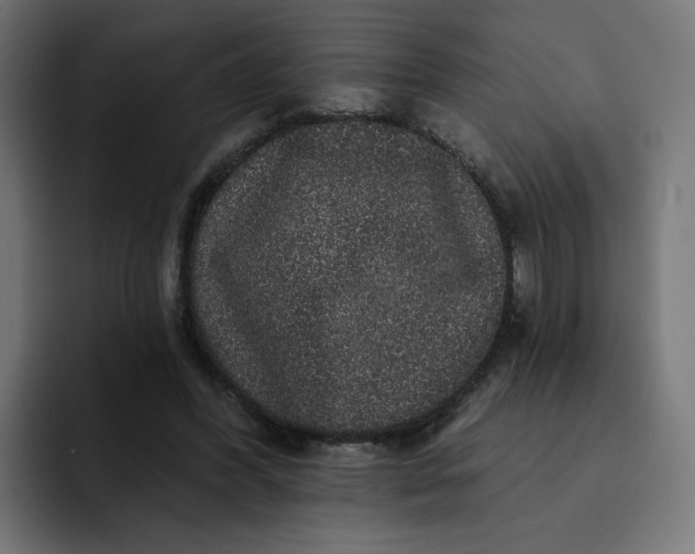 X0000093140396200710101121