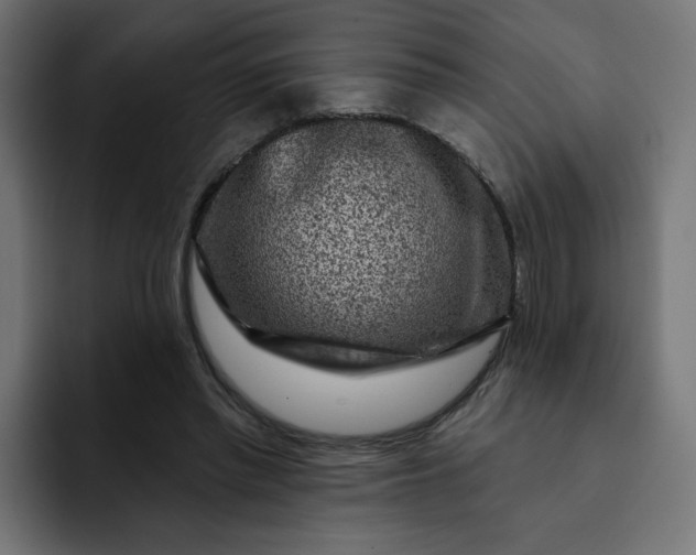 X0000093140397200710101121