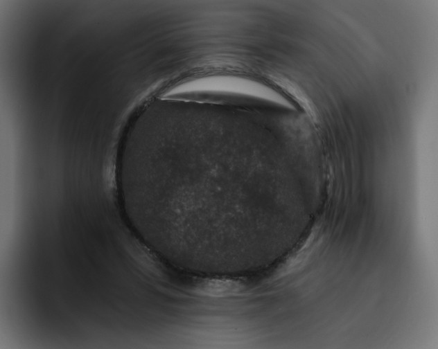 X0000093140399200710101121