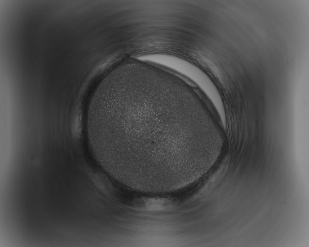 X0000093140400200710101121