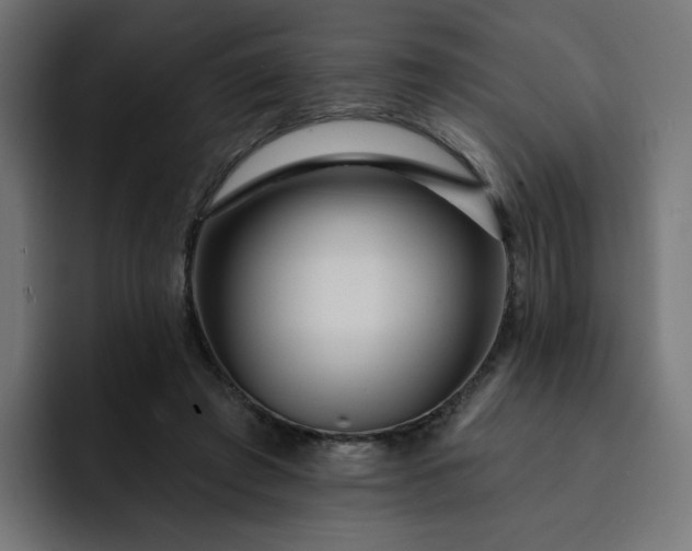 X0000093140401200710101121