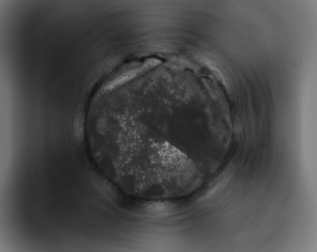 X0000093140402200710101121