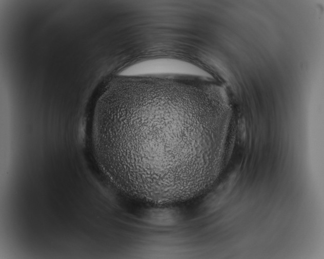 X0000093140404200710101121