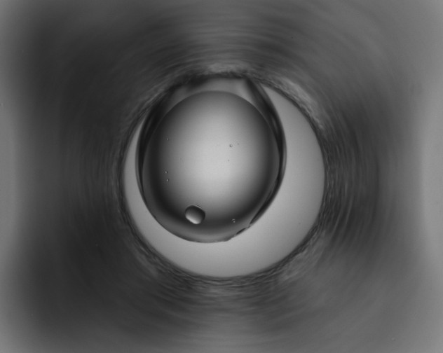 X0000093140405200710101121