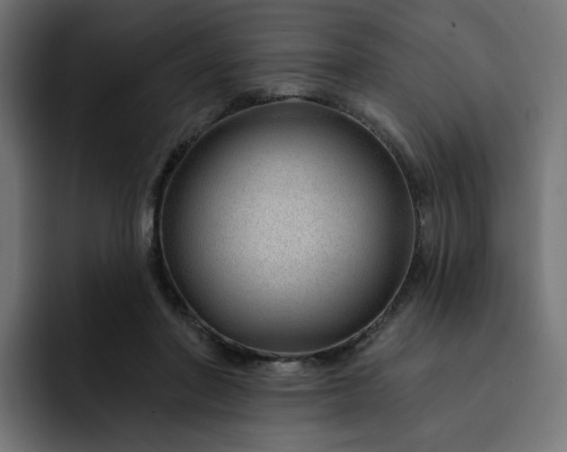 X0000093140406200710101121