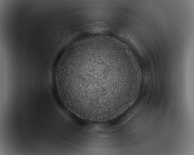 X0000093140408200710101121