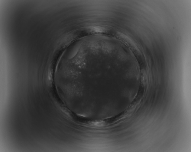 X0000093140410200710101121