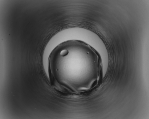 X0000093140412200710101121