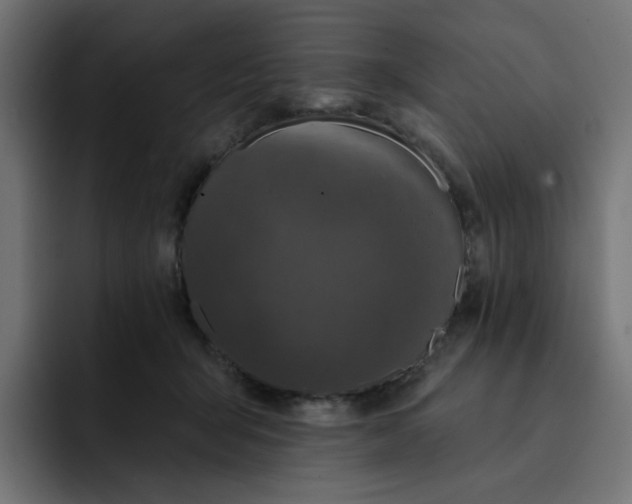 X0000093140415200710101121