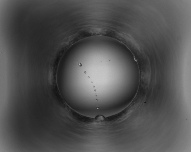 X0000093140416200710101121