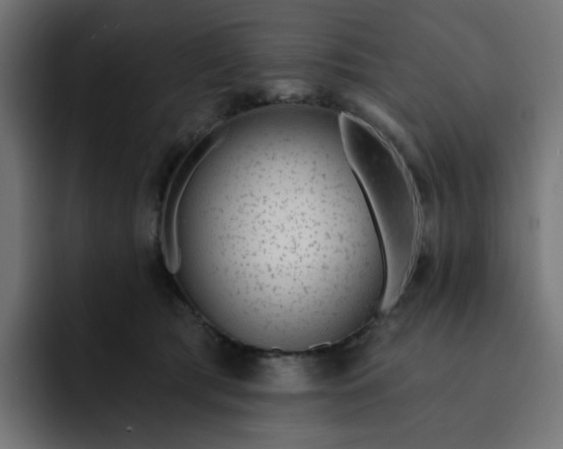 X0000093140417200710101121