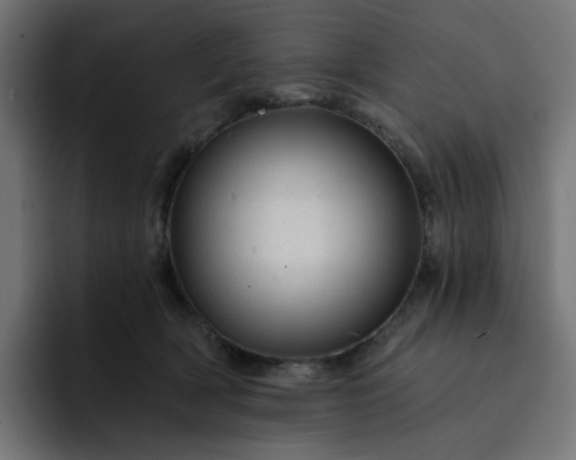 X0000093140418200710101121