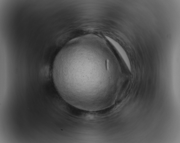 X0000093140420200710101121