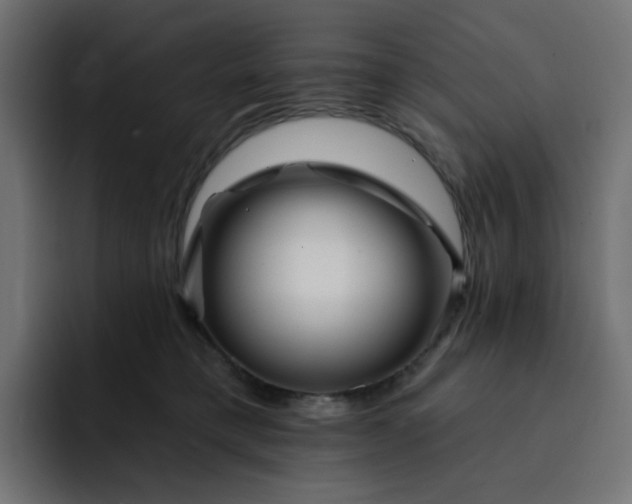 X0000093140421200710101121