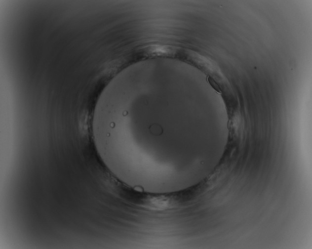 X0000093140423200710101121