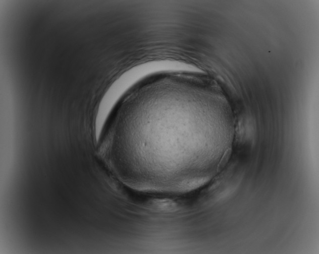 X0000093140424200710101121