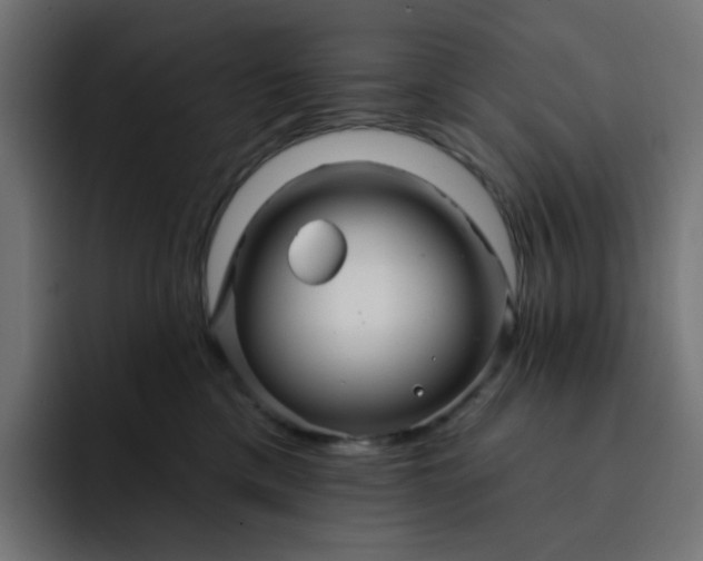 X0000093140425200710101121