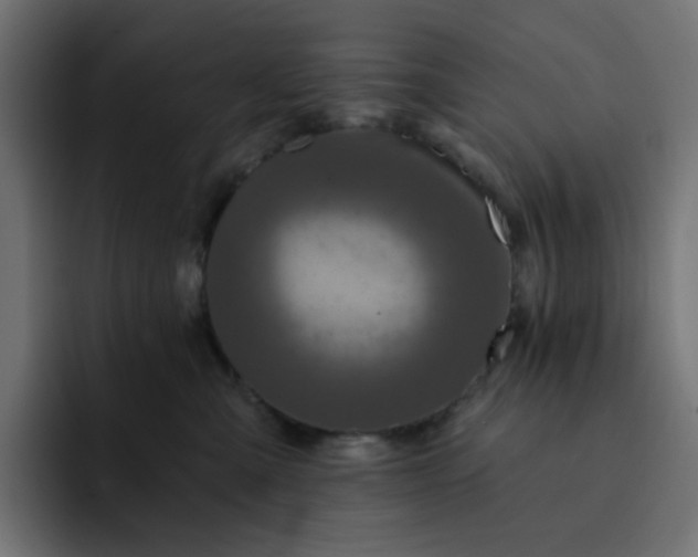 X0000093140427200710101121