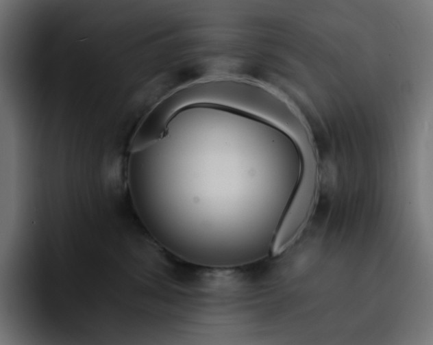 X0000093140428200710101121