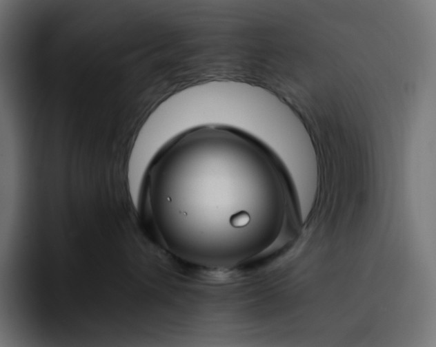 X0000093140432200710101121