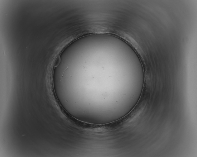 X0000093140433200710101120