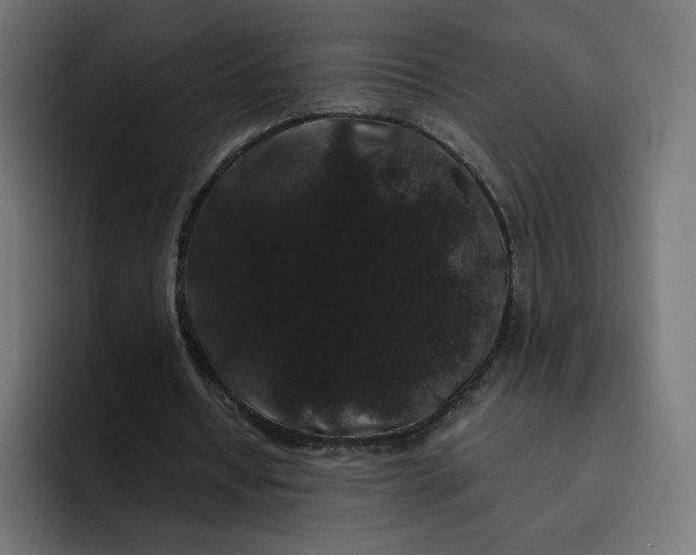 X0000093140434200710101120