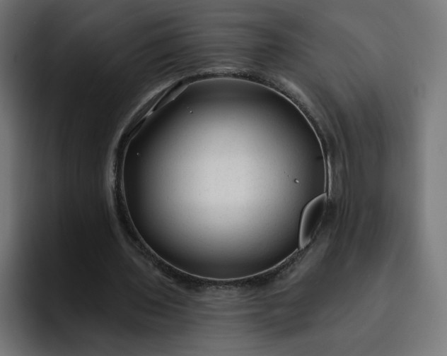 X0000093140435200710101120