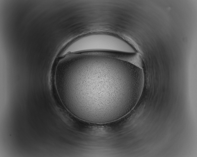 X0000093140439200710101120