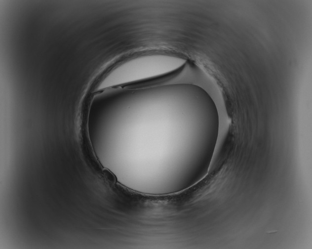 X0000093140440200710101120