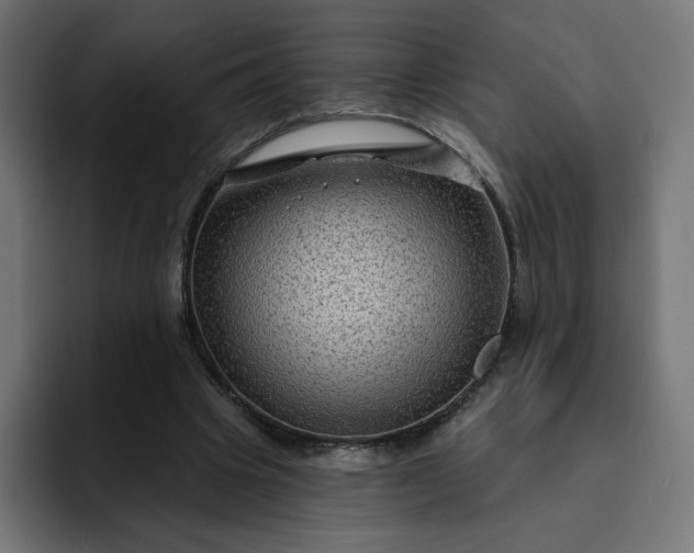 X0000093140441200710101120