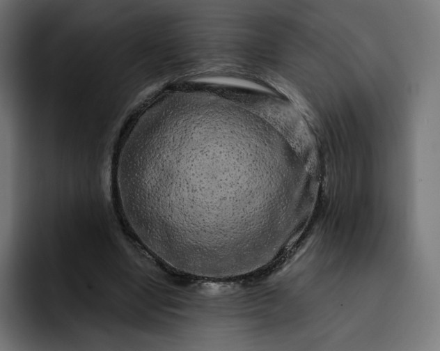 X0000093140442200710101120