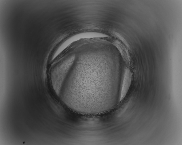 X0000093140443200710101120