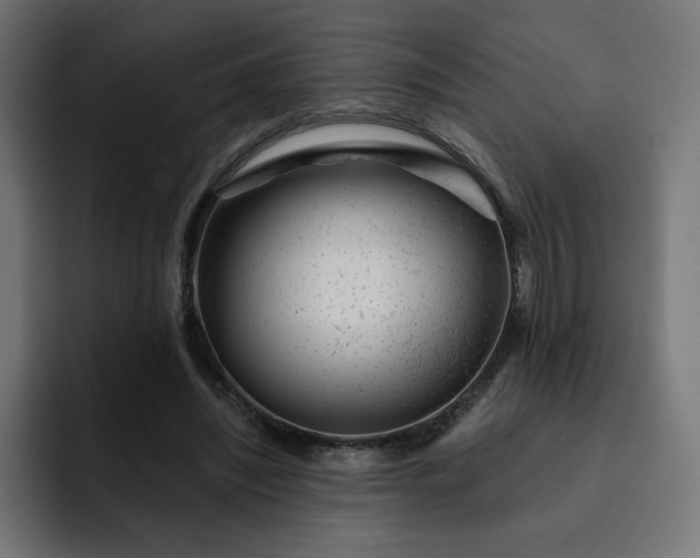 X0000093140444200710101120