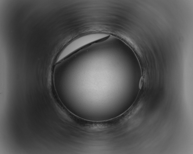 X0000093140445200710101120