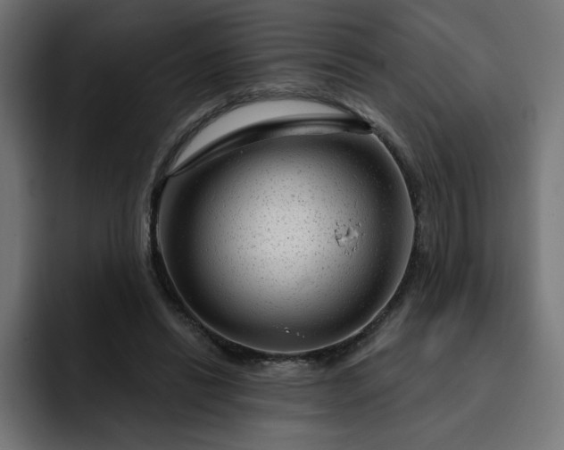 X0000093140446200710101120