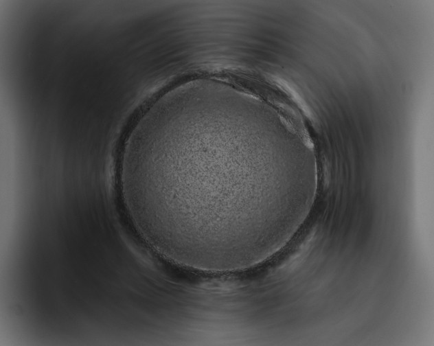 X0000093140447200710101120