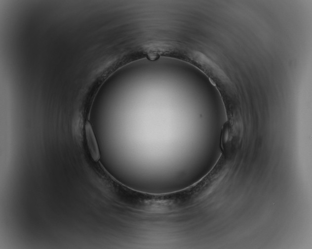 X0000093140448200710101120