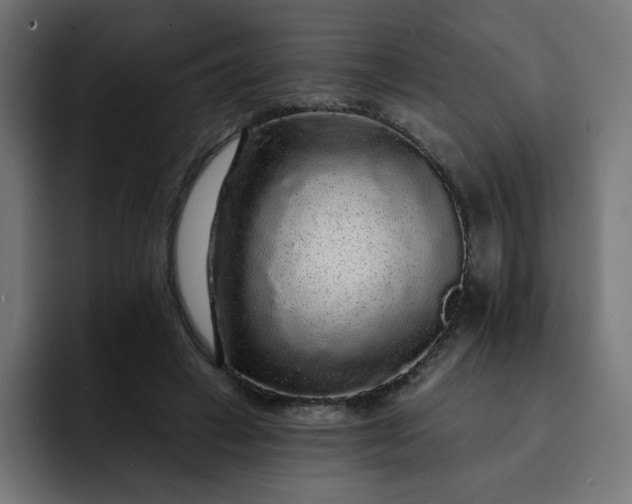 X0000093140449200710101120