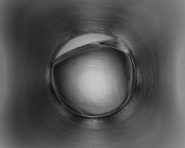 X0000093140453200710101120