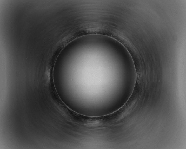 X0000093140454200710101120