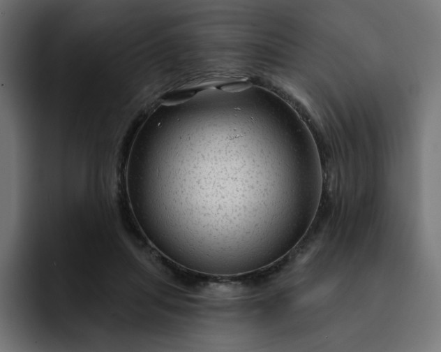 X0000093140455200710101120