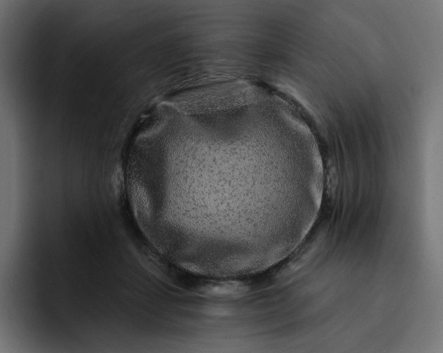 X0000093140459200710101120