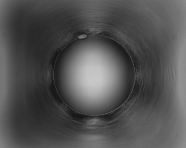 X0000093140460200710101120